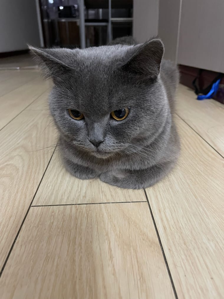 IMG_0094.jpeg